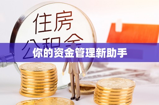 准格尔旗你的资金管理新助手