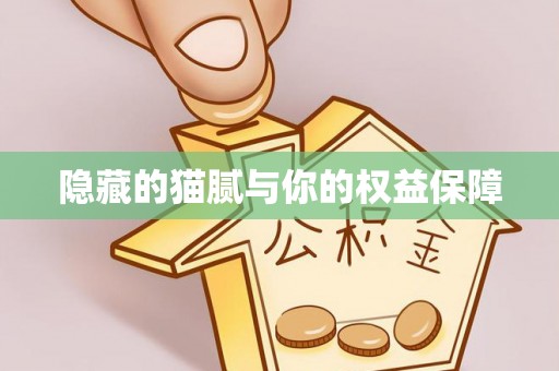 准格尔旗隐藏的猫腻与你的权益保障