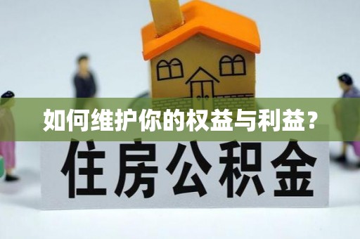 准格尔旗如何维护你的权益与利益？
