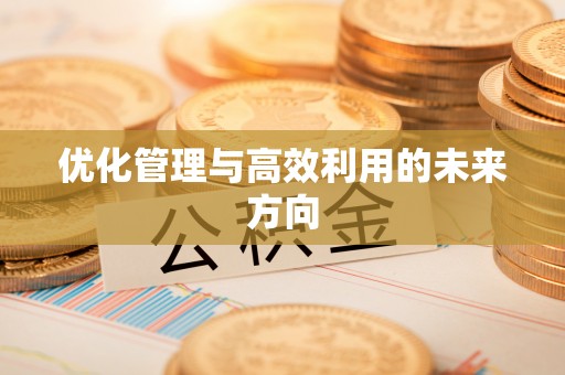 准格尔旗优化管理与高效利用的未来方向