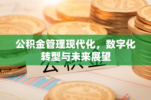 准格尔旗公积金管理现代化，数字化转型与未来展望